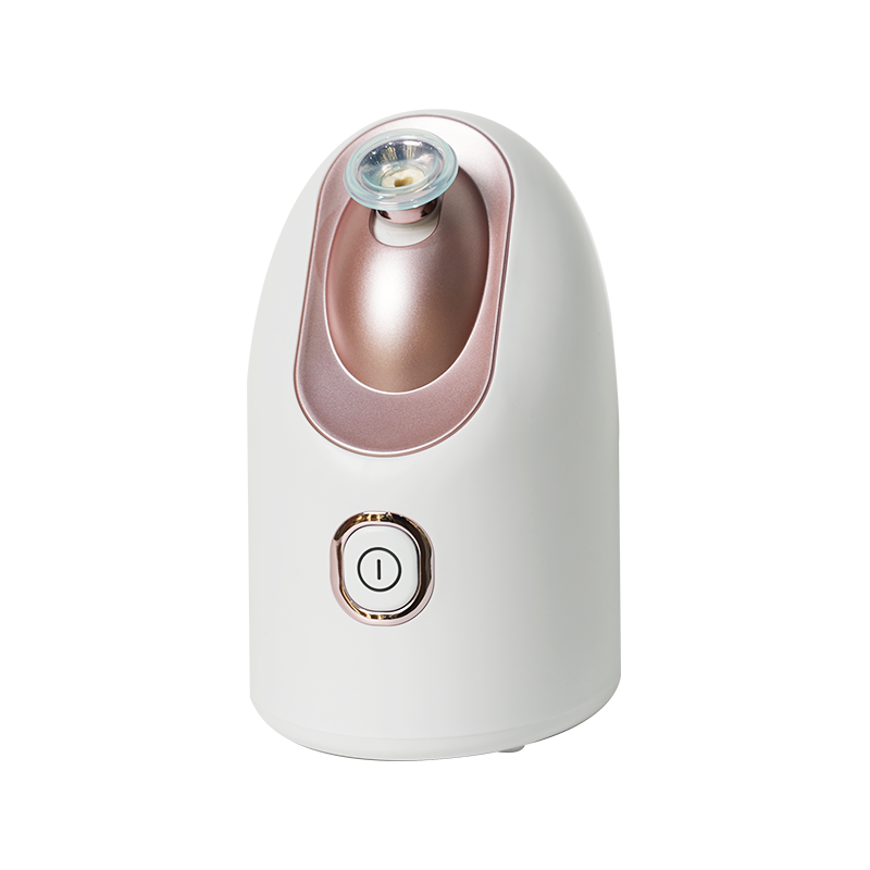 Facial Steamer