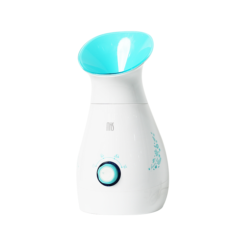 Hot Facial Steamer
